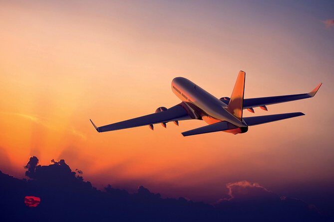 Private Arrival and Transfer Airport to Delhi Hotel by Car - Key Points