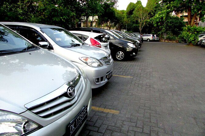 Private Arrival Transfer: Bali Airport to Ubud Area - Final Thoughts: Who Will Love This Service?