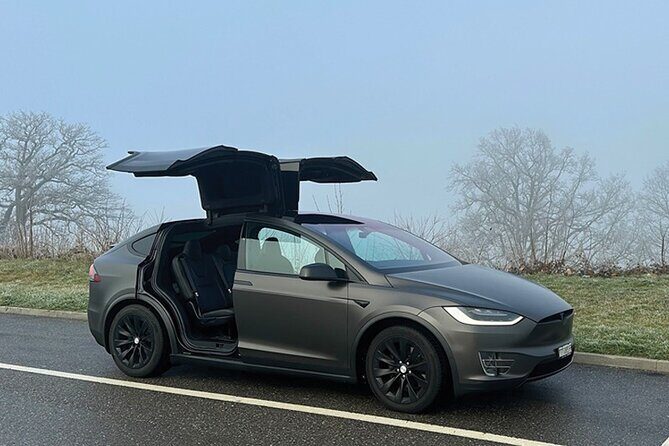 Private Arrival Transfer: from Geneva Airport to Interlaken - Private Arrival Transfer: from Geneva Airport to Interlaken