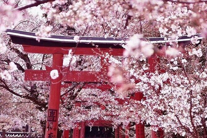 Private arrival transfer from Kansai International airport to Kyoto City - An In-Depth Look at the Experience