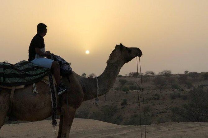 Private Arrival Transfer: Jodhpur Airport (JDH) to Jodhpur Hotels - Detailed Review of the Private Transfer Experience