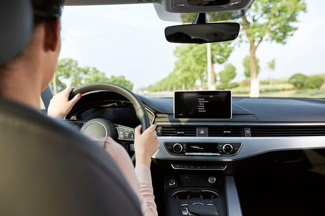 Private Arrival Transfer: Tianjin Cruise Port to Train Stations (Tianjin/Tanggu) - Who Should Consider This Service?