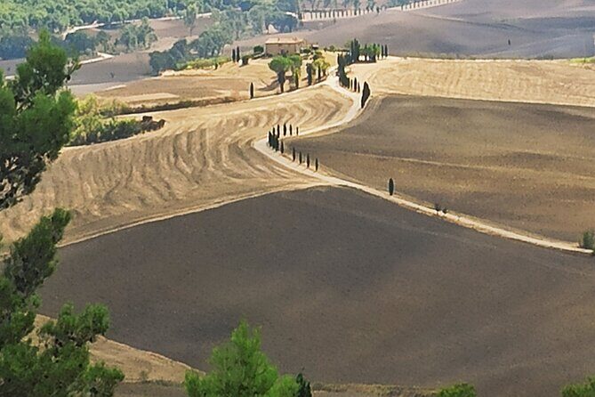 Private Art & Wine Tour in Cortona & Montepulciano, with lunch & 2 wine tastings - Who Should Consider This Tour?