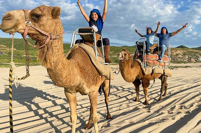 Private ATV and Camel Ride on a White Sand Beach - FAQ