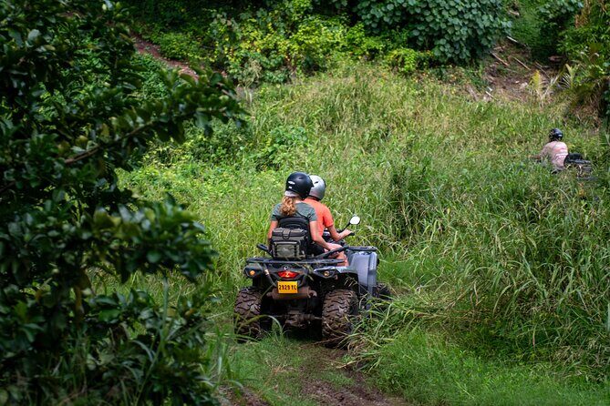 Private ATV or Quad Adventure in Bora Bora - Value for Money