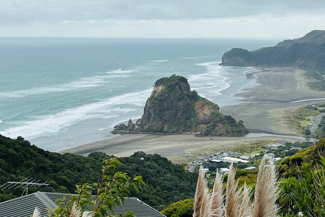 Private Auckland best Spots + Piha beach and rainforest day Tour - Exploring Auckland in a Day: An Honest Look at the Private Best Spots & Piha Beach Tour