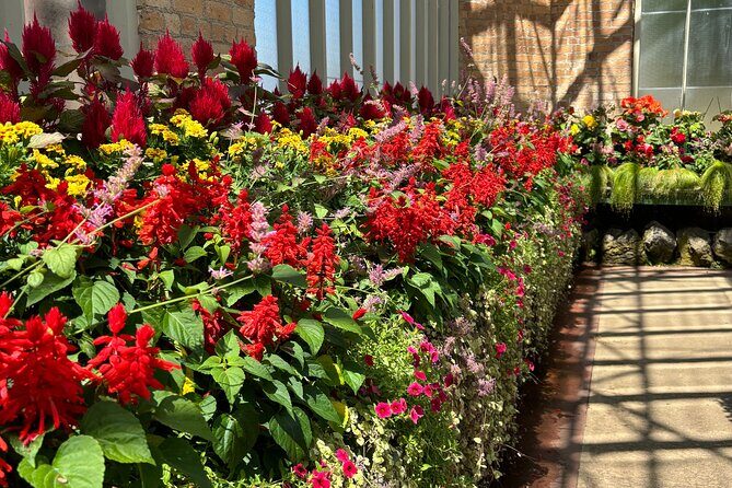 Private Auckland best Spots + Piha beach and rainforest day Tour - Transportation and Comfort