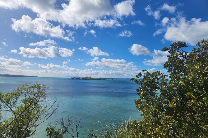 Private Auckland best Spots + Piha beach and rainforest day Tour - The Sum Up