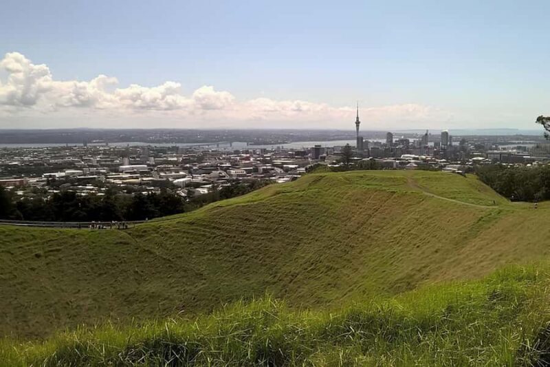 Private Auckland Best Top 5 Spots Half day Tour - Why Choose a Private Half-Day Tour?