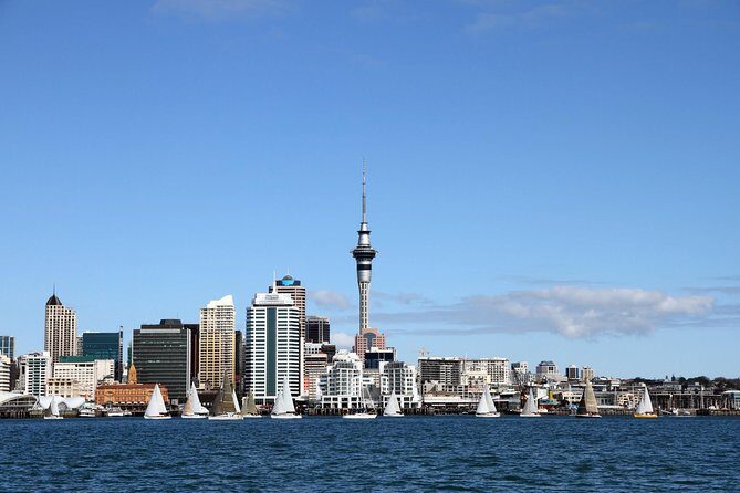 Private Auckland City Tour For Small Group in a luxury vehicle. - A Closer Look at the Auckland Private City Tour