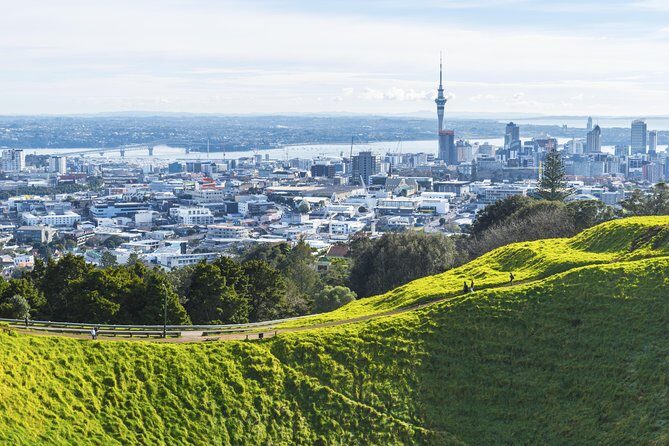 Private Auckland City Tour Including Auckland Tour House Visit - Key Points