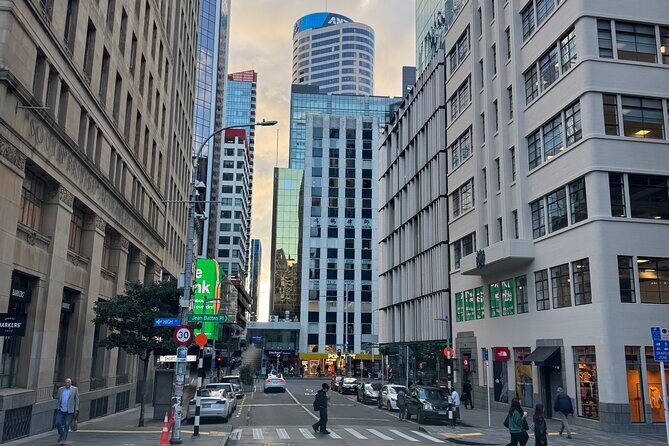 Private Auckland City Tour Including Auckland Tour House Visit - An Honest Look at the Auckland Private City Tour