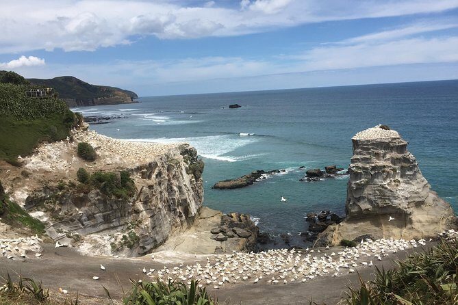 Private Auckland City Tour Including Auckland Tour House Visit - FAQs about the Private Auckland City Tour