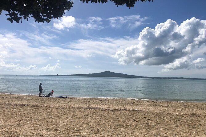 Private Auckland Half Day Tour - What to Expect