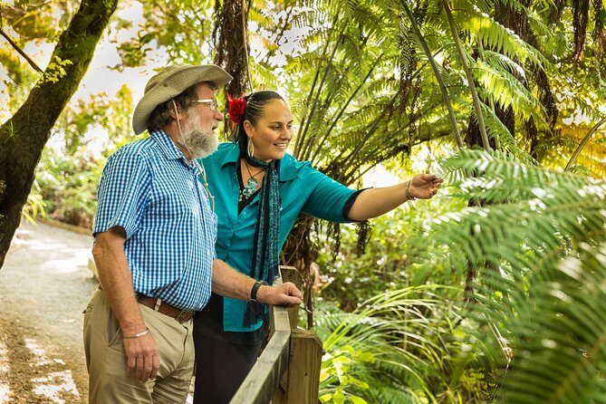 Private Auckland Half Day Tour - Who Will Love This Tour?