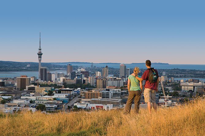 Private Auckland Half Day Tour - The Sum Up: Is This Tour for You?