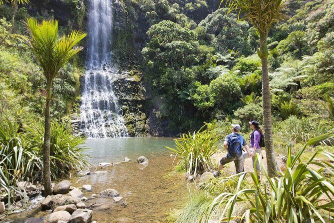 Private Auckland Luxury Tour - Discovering Auckland’s Natural and Urban Marvels
