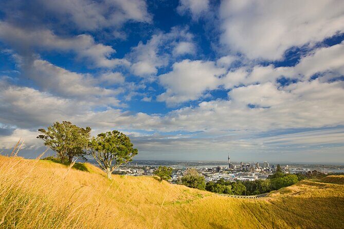 Private Auckland Luxury Tour - FAQ