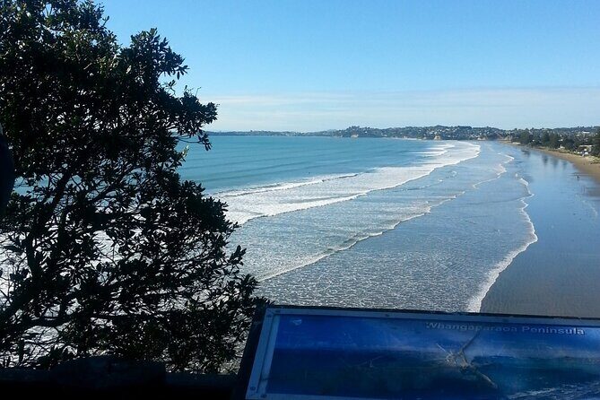 Private Auckland North Eastern Coast Tour - What Makes This Tour Stand Out?
