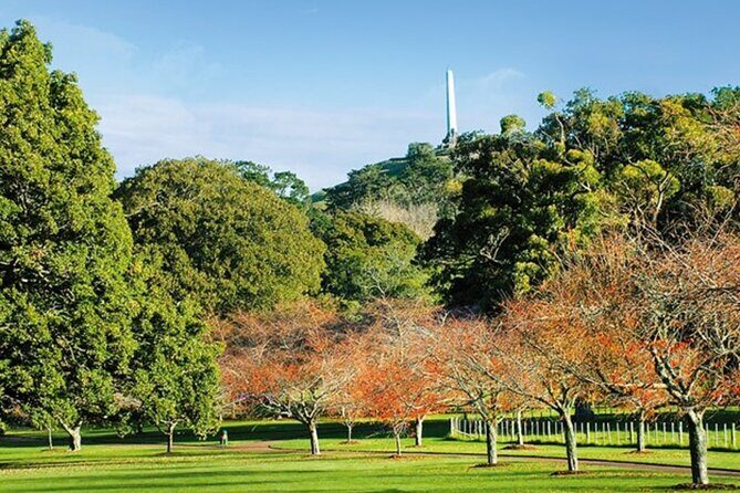 Private Auckland Sightseeing - Full Day/Half Day Hidden Gems Tour - The Guide and Transport Experience