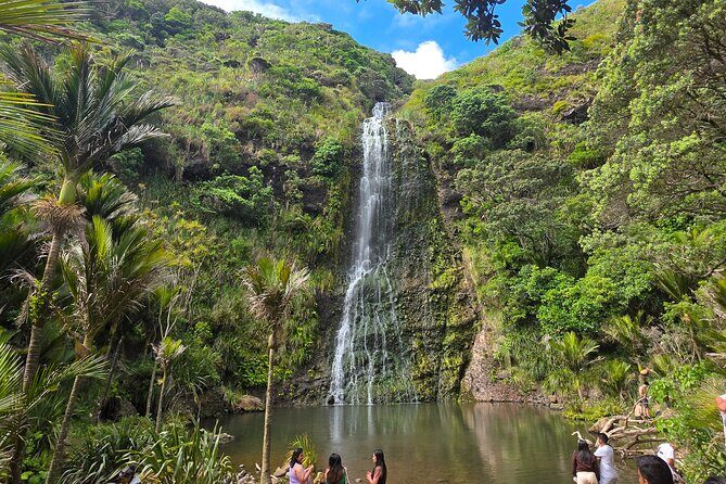 Private Auckland West Coast Tour Piha Beach and Karekare Falls - Exploring Auckland’s West Coast: A Private Tour That Delivers Authentic Beauty