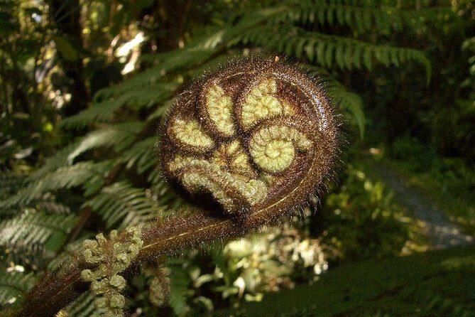 Private Auckland Wine & Dine Matakana Country & Cuisine - Who Will Love This Tour?