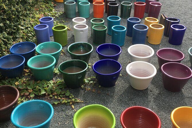 Private Auckland Wine & Dine Matakana Country & Cuisine - The Sum Up