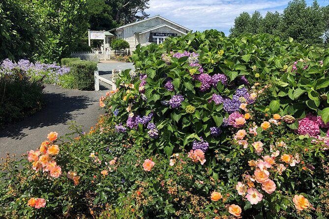 Private Auckland Wine & Dine Matakana Country & Cuisine - FAQ