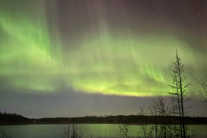 Private Aurora Tour Small Group SUV Experience - Is This Tour Worth It?