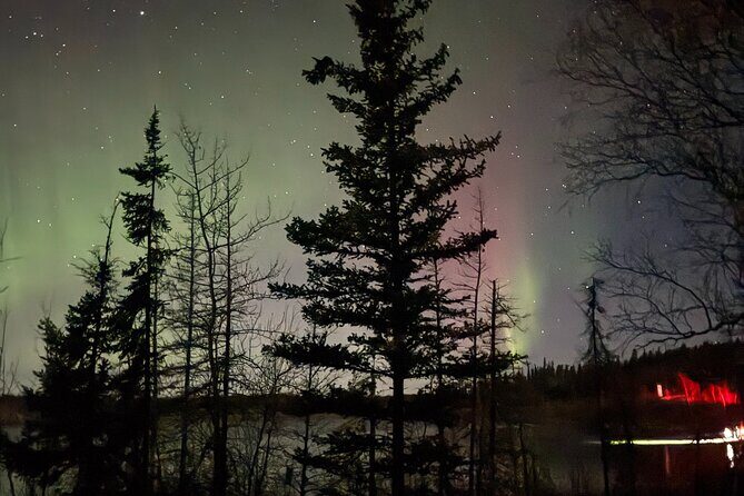 Private Aurora Tour Small Group SUV Experience - Who Should Consider This Tour?