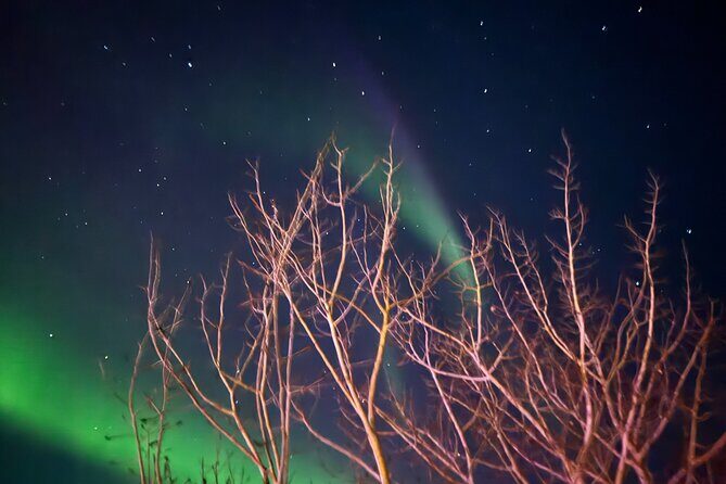 Private Aurora Tour Small Group SUV Experience - Final Thoughts