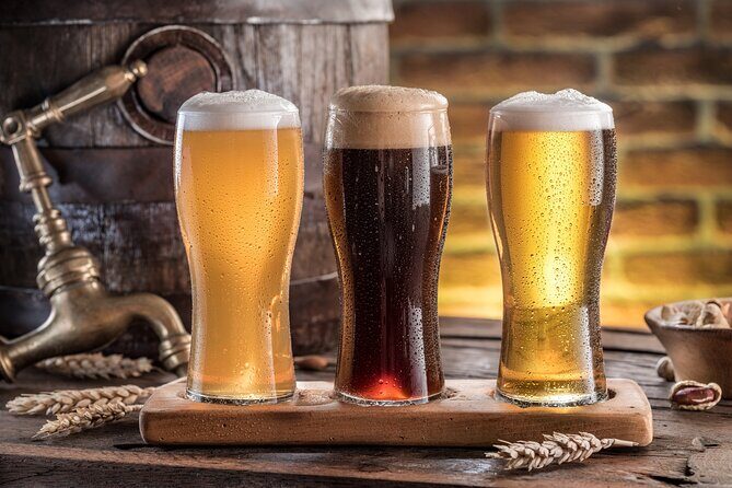 Private Austrian Beer Tasting Tour in Vienna Old Town - Who Will Love This Tour?