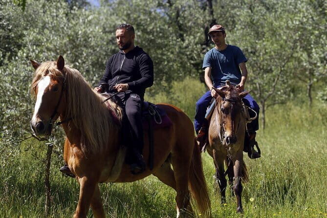 Private Authentic Dining Experience in a Tuscan Villa with Simona - The Sum Up: Is it Worth It?