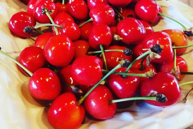 Private Authentic Family Home Local Lunch from Farm From Split - Authenticity, Comfort, and Personal Touches