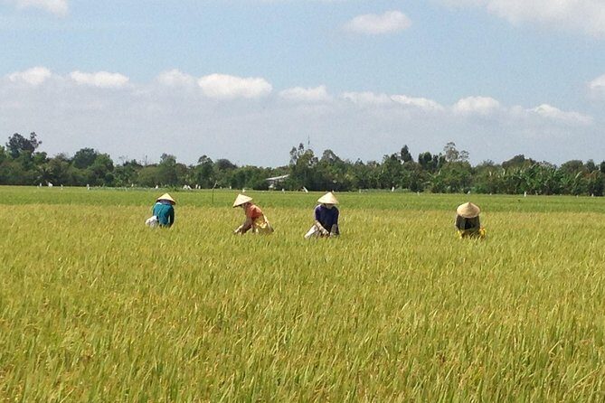 Private Authentic Mekong River Full Day Trip - Non Touristic Mekong delta - Why This Tour Offers Great Value