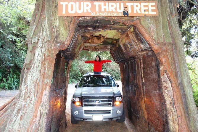 Private Avenue of the Giants Redwoods Day Trip from San Francisco - Who Will Love This Tour?