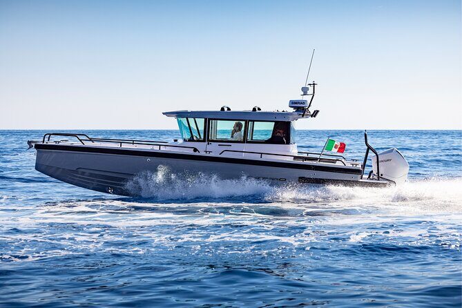 Private Axopar 37 MotorYacht Cruise in Santorini w/ Snack & Drink - Who Is This Tour Best For?