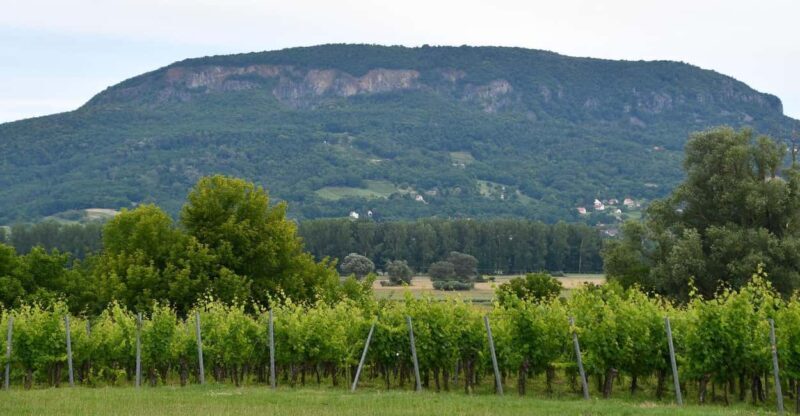 Private Badacsony Volcano Hike & Lake Balaton Views - FAQ