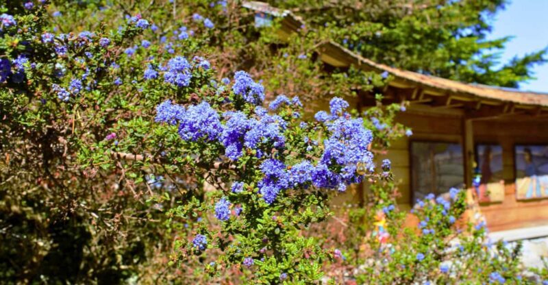 Private Bainbridge Island Discovery Tour - Key Points