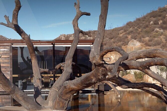 PRIVATE BAJA WINERIES EXPERIENCE (Transportation,concierge,custom schedule) - Authentic Experiences and Authenticity