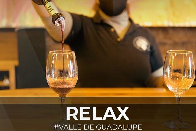 PRIVATE BAJA WINERIES EXPERIENCE (Transportation,concierge,custom schedule) - Who Is This Tour Best For?