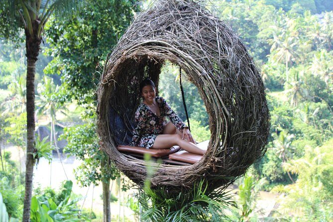 Private Bali Car Charter with Driver up to 6 People - In-Depth Breakdown of the Itinerary - What to Expect