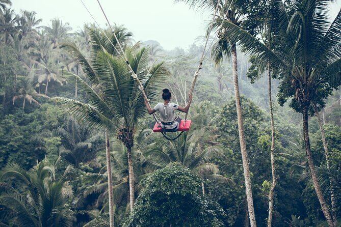 Private Bali Car Charter with Driver up to 6 People - What Reviewers Say About Their Experience
