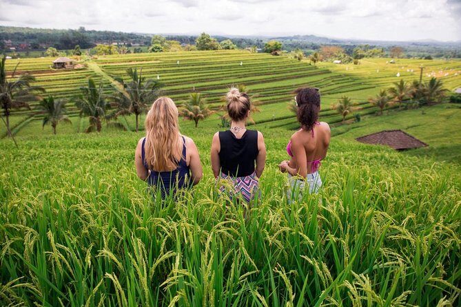 Private Bali Tour: The Most Scenic Places - FAQs