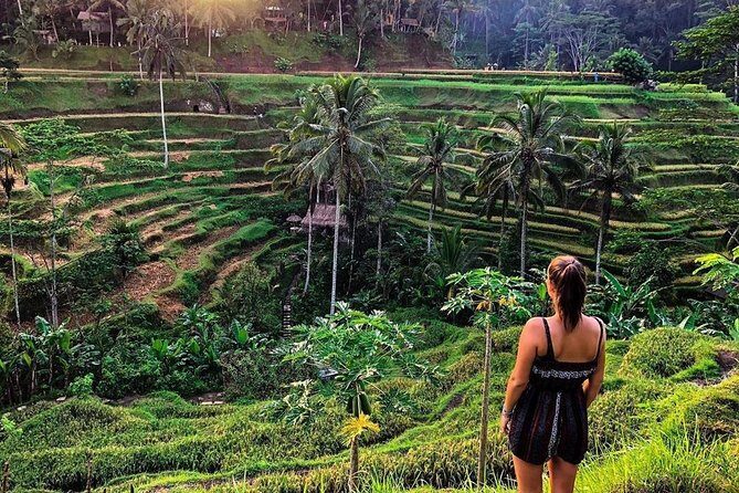 Private Bali Tour: Wonderful Ubud with Swing - Who Will Love This Tour?