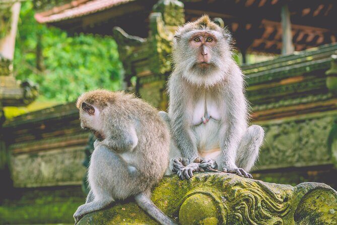 Private Bali's North Sacred Sites and Idyllic Nature Exploration - Key Points