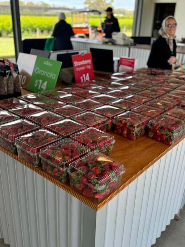 Private Ballarat Sovereign Hill Gold Mine Tours - Key Points