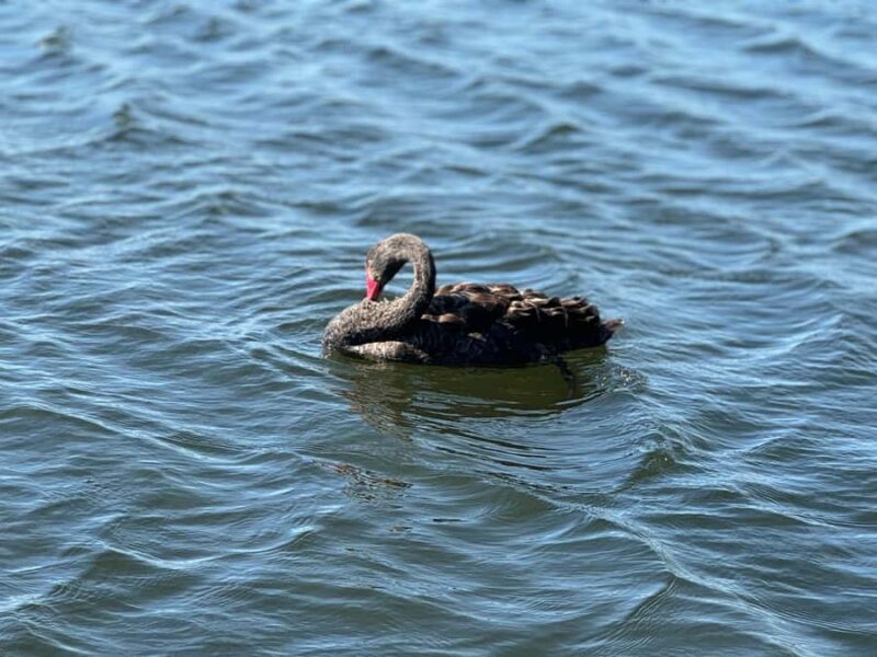 Private Ballarat Sovereign Hill Gold Mine Tours - The Sum Up