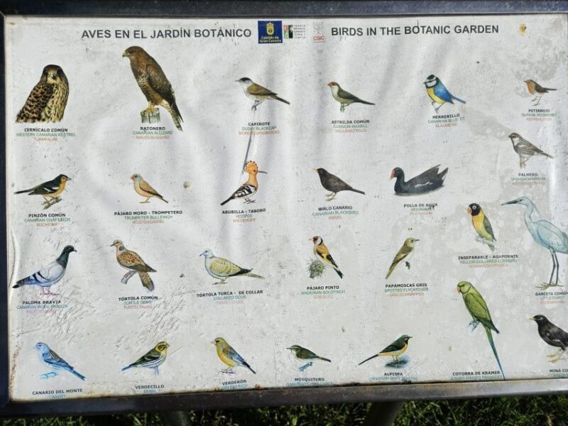 Private Bandama Caldera, Botanic Garden(/Wine*), Old Town - Frequently Asked Questions