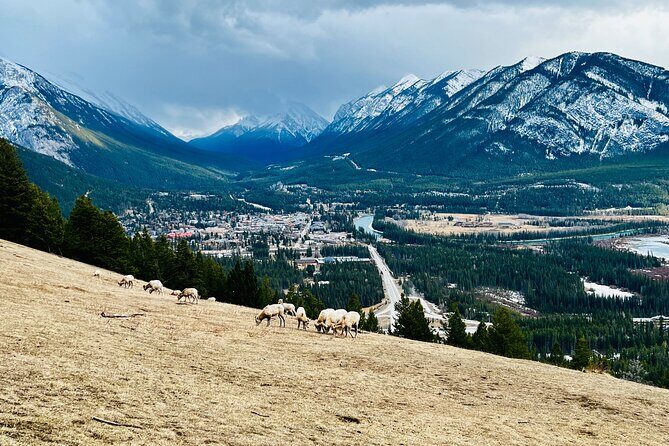 Private Banff Winter Tour with Abraham Lake & More! - FAQs
